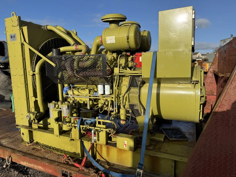 BPI Auctions - Diesel Powered Back Up Generators, EnerSys 2V460/6 Power Storage Batteries & Volvo Penta 475 Diesel Generators Auction - Auction Image 4