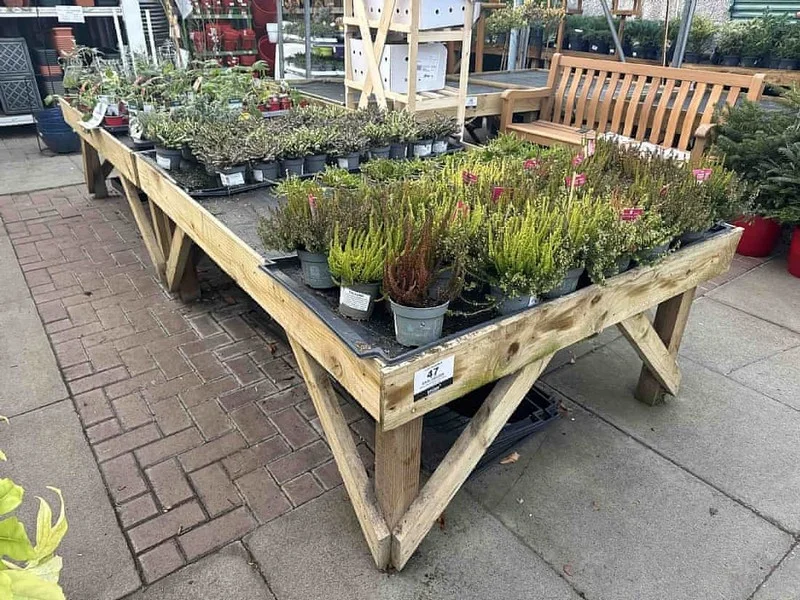 Sweeney Kincaid - Garden Centre Equipment, Vehicles, Equipment & Stock Auction - Auction Image 10