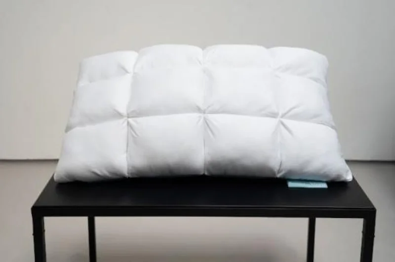 websiteImage15