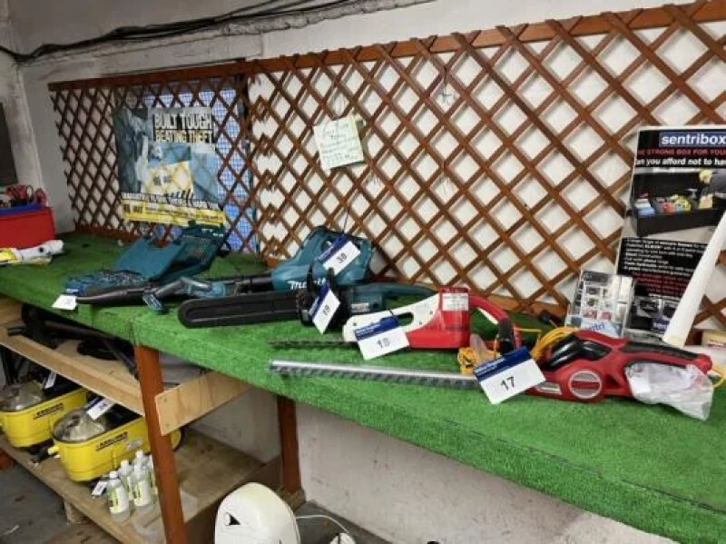 websiteImage8
