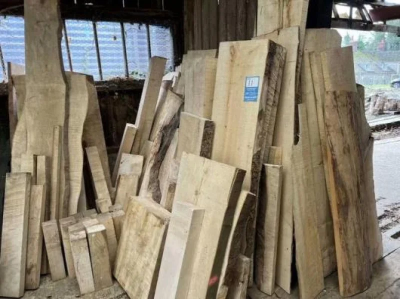 websiteImage4