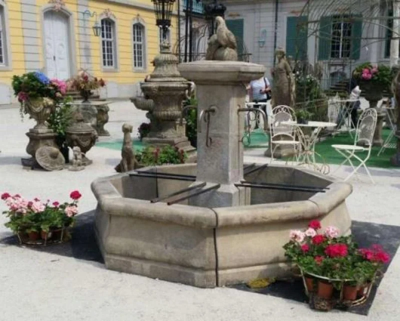 Image23