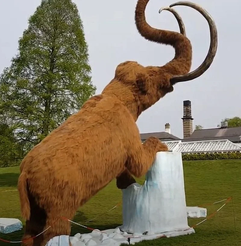 Sanderson Weatherall LLP - Animatronic Ice Age Beasts / Mammals  and Pre-historic Human, Ride-on Ice  Age Beasts / Mammals, and Static  Fibreglass Ice Age Mammals and Pre-historic Human Displays at Auction - Auction Image 1