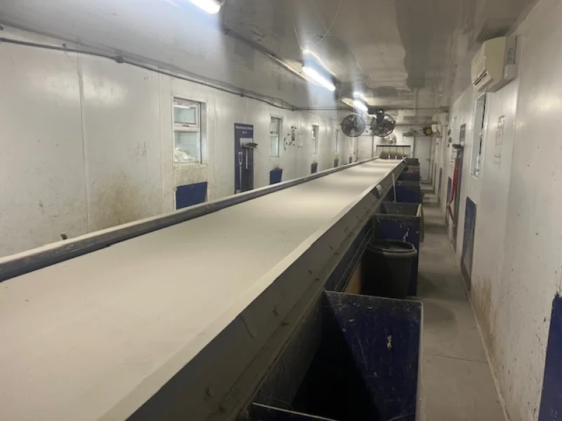 Malcolm Harrison Auctions Ltd - Picking Line Auction - Auction Image 5