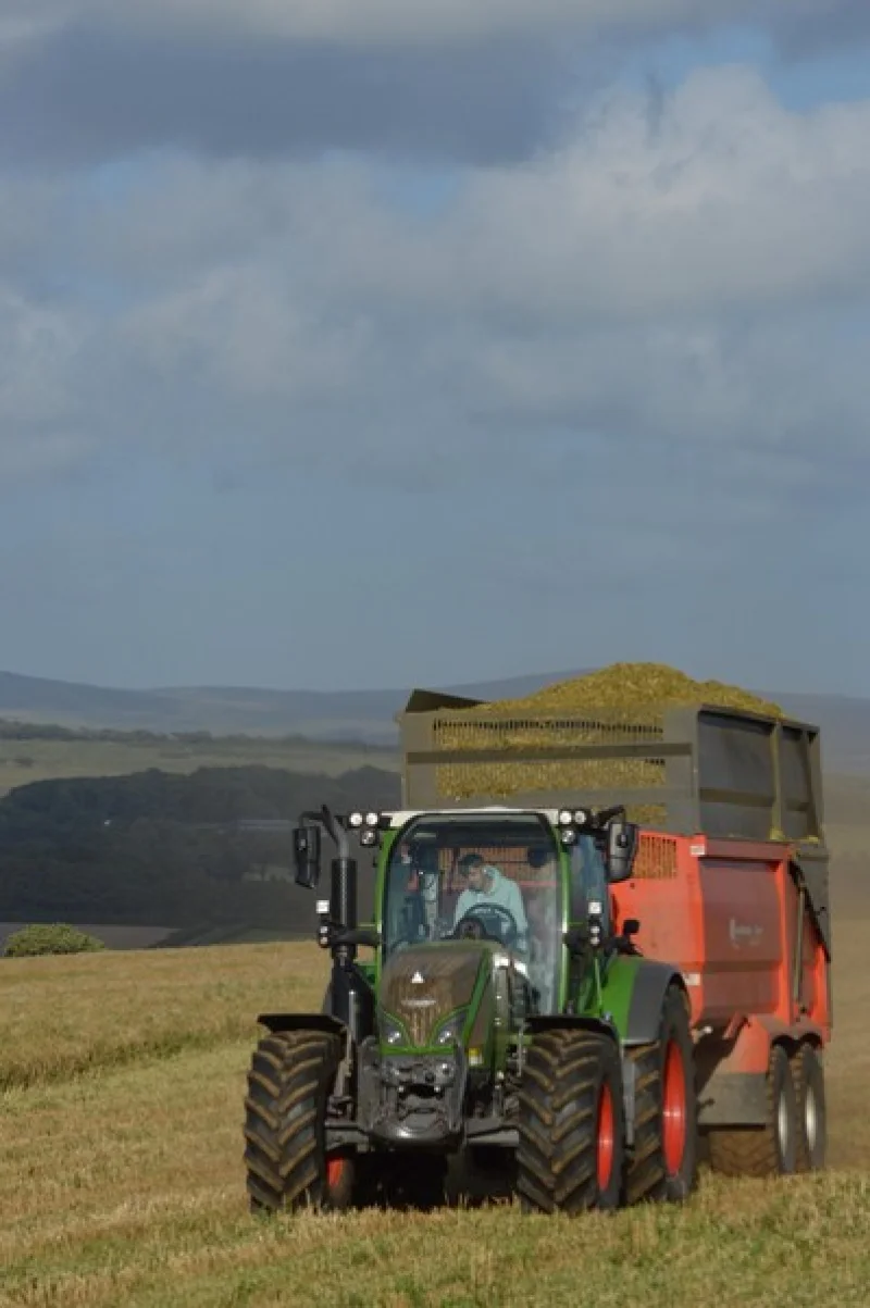 Kivells - On Farm Dispersal Auction of Forager, Tractors, Machinery, Implements & Effects - Auction Image 7