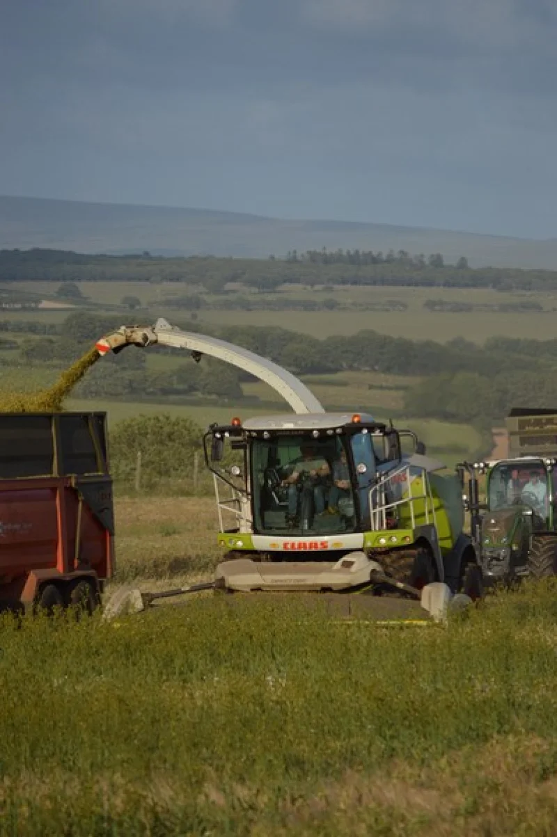 Kivells - On Farm Dispersal Auction of Forager, Tractors, Machinery, Implements & Effects - Auction Image 8