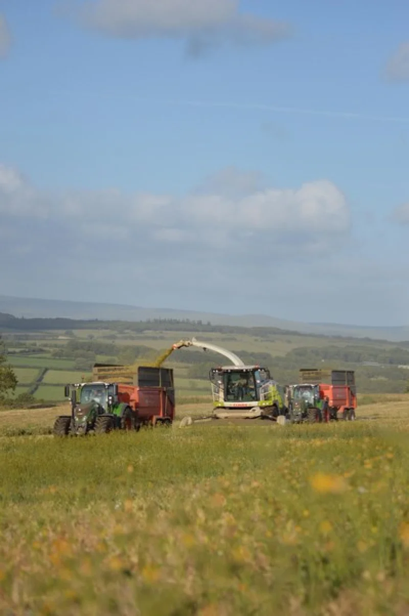 Kivells - On Farm Dispersal Auction of Forager, Tractors, Machinery, Implements & Effects - Auction Image 9