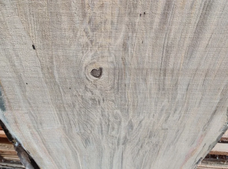 BPI Auctions - Live Edge Timber Slabs to include Sapele, Pippy English Oak, Walnut, Coin / Cookie Slabs, Yew, Sycamore & more at Auction - Auction Image 2