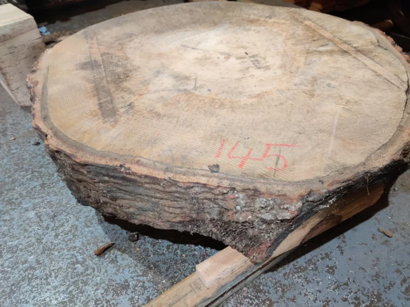 BPI Auctions - Live Edge Timber Slabs to include Sapele, Pippy English Oak, Walnut, Coin / Cookie Slabs, Yew, Sycamore & more at Auction - Auction Image 5
