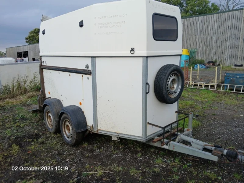 Eddisons - Stockport - Fiat 500 (2023), MAN Wagon with Tail Lift, Trailers, Cars and Warehousing Equipment at Auction - Auction Image 5
