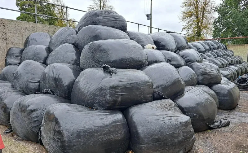 Wilsons Auctions - Portadown - AFBI Silage Auction - Auction Image 1