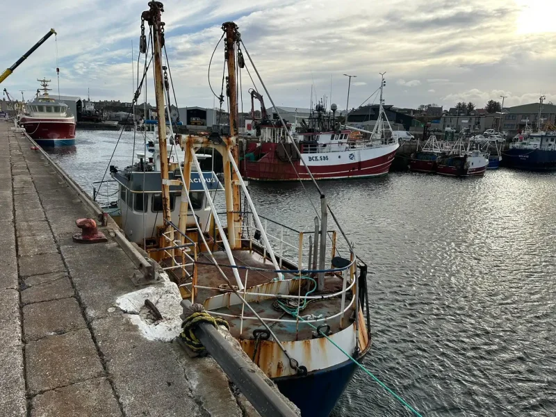 Wilsons Auctions - Glasgow - Auction of Fishing Vessel 'Gracious' - Auction Image 3
