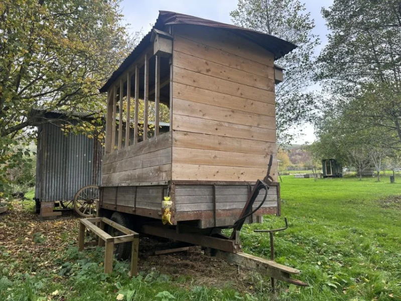 Gavel Auctioneers Ltd - Static Accommodation, Horse Trailers & 20ft Shipping Container at Auction - Auction Image 2
