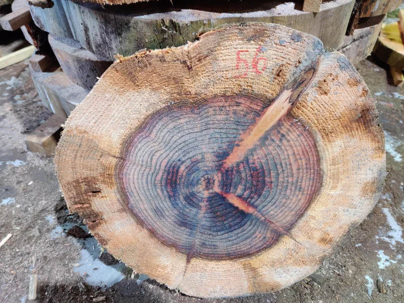 BPI Auctions - Live Edge Timber Slab Auction to include English Black Walnut, California Red, Ash Slab, English Elm, English Oak & more - Auction Image 1