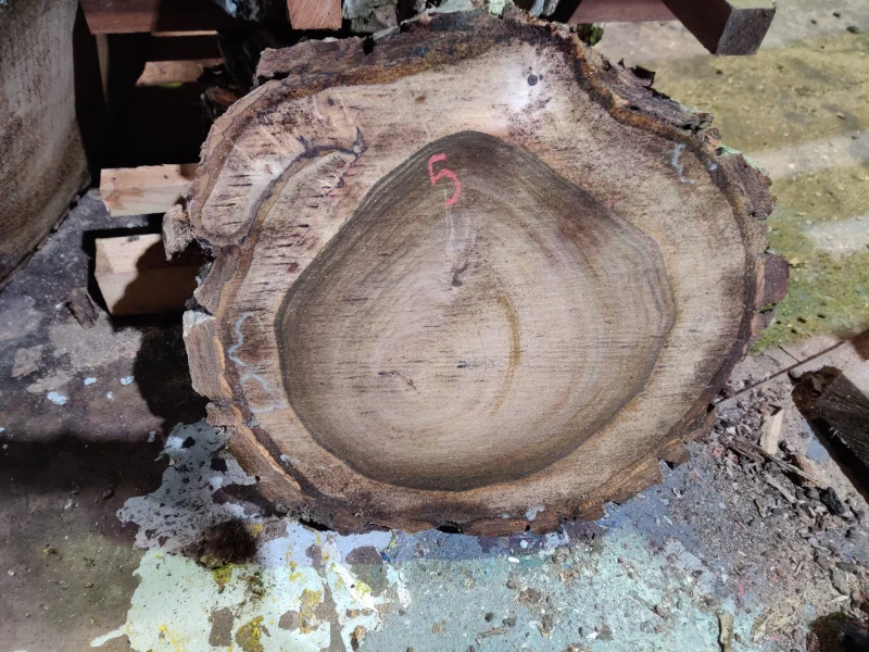 BPI Auctions - Live Edge Timber Slab Auction to include English Black Walnut, California Red, Ash Slab, English Elm, English Oak & more - Auction Image 2