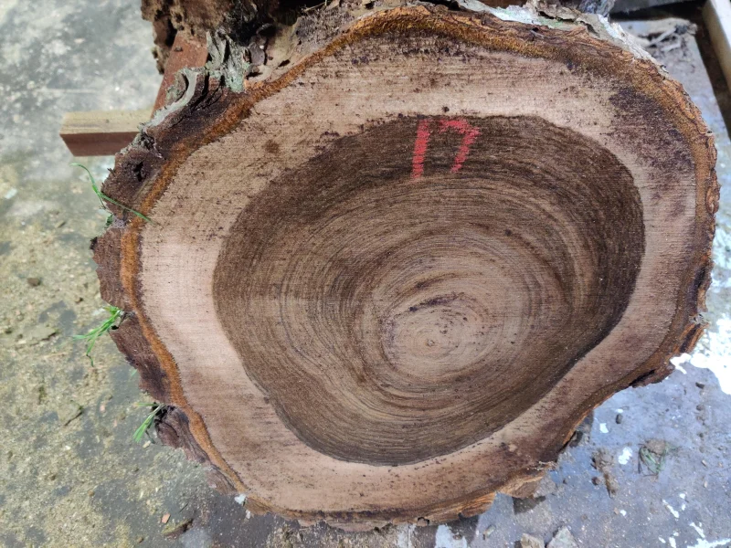 BPI Auctions - Live Edge Timber Slab Auction to include English Black Walnut, California Red, Ash Slab, English Elm, English Oak & more - Auction Image 3