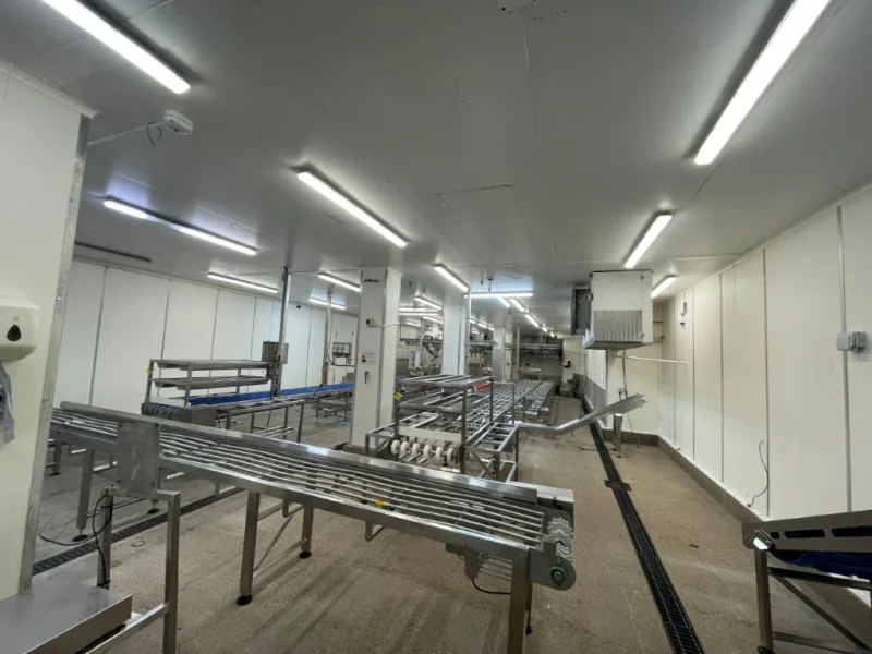 Thainstone Specialist Auctions (TSA) - TIMED ONLINE AUCTION SALE Of Abattoir Equipment, Cattle, Sheep & Pig Lines, Refrigeration, Lairage, Site Services etc - Auction Image 5