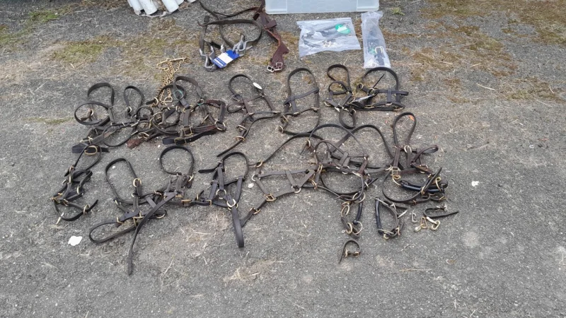 BTG Eddisons - Stockport - Assets of a Horse Racing Trainer at Auction - Auction Image 8
