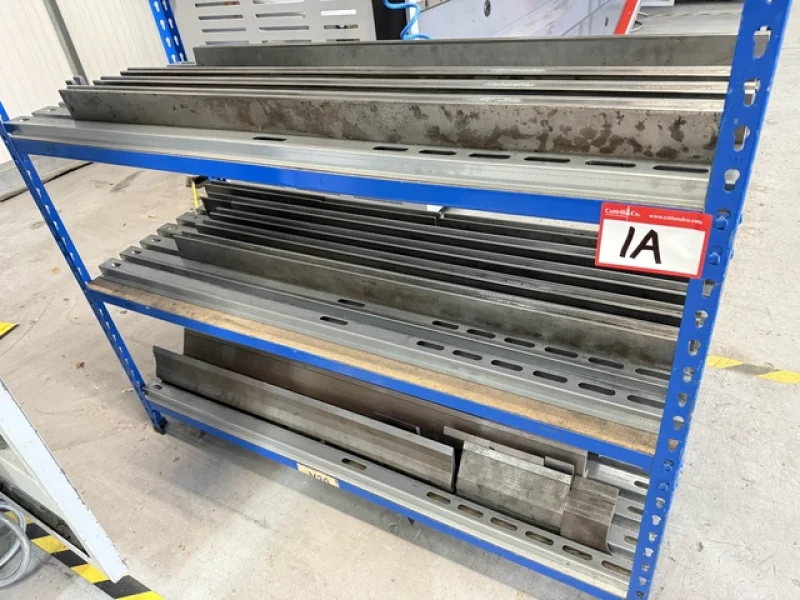 Cottrill & Co - Selection of Late Model Bystronic ByBend, Xact, Xpress Press Brakes, Amada Turret Punch & Amada Press Brake at Auction - Auction Image 2
