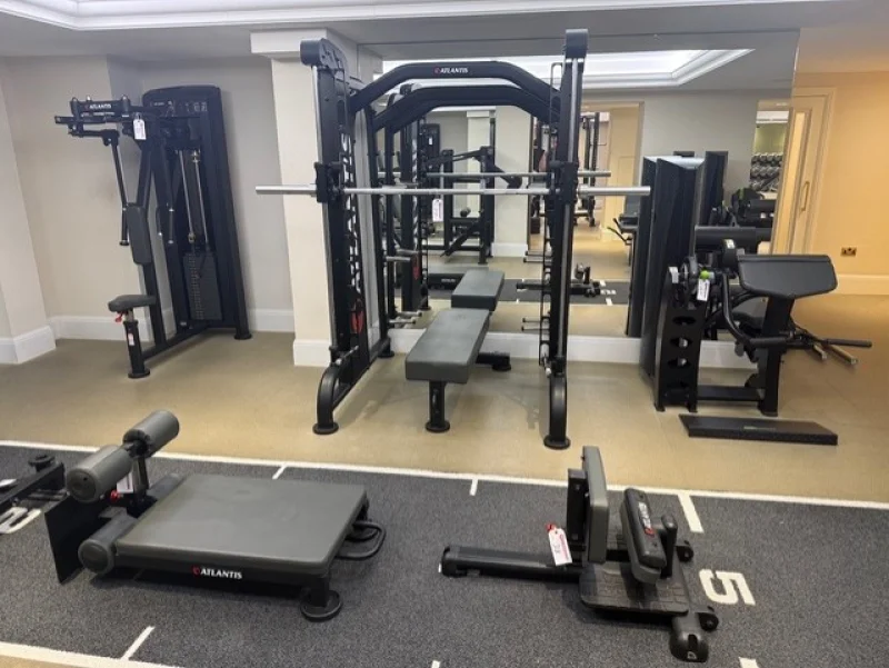 G J Wisdom & Co - Luxury Private Gym & Wellness Suite Equipment Auction - Auction Image 13