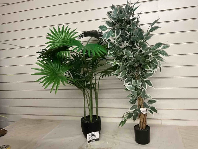 Sweeney Kincaid - Monthly Trade & Retail Stock Auction - Auction Image 1