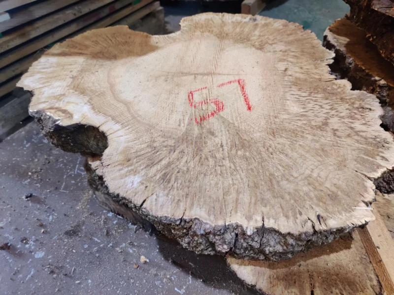 BPI - Live Edge Timber Slabs to include English Black Walnut, California Red, English Yew, English Oak, Old Black Fenland Bog Oak & more available at Auction - Auction Image 1