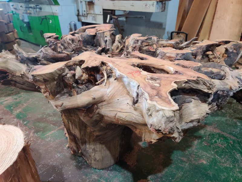 BPI - Live Edge Timber Slabs to include English Black Walnut, California Red, English Yew, English Oak, Old Black Fenland Bog Oak & more available at Auction - Auction Image 2