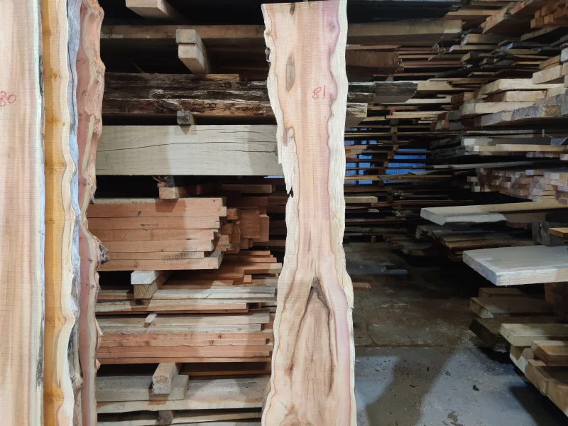BPI - Live Edge Timber Slabs to include English Black Walnut, California Red, English Yew, English Oak, Old Black Fenland Bog Oak & more available at Auction - Auction Image 3