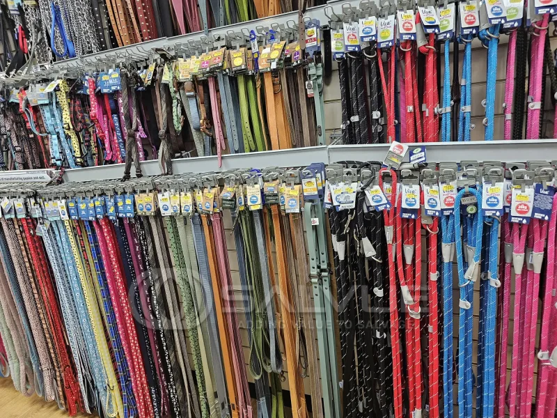 Salvue Ltd. - Approx 5,500 Items of Pet Soft Toys, Beds, leads, Accessories - Smoke Contaminated at Auction - Auction Image 1