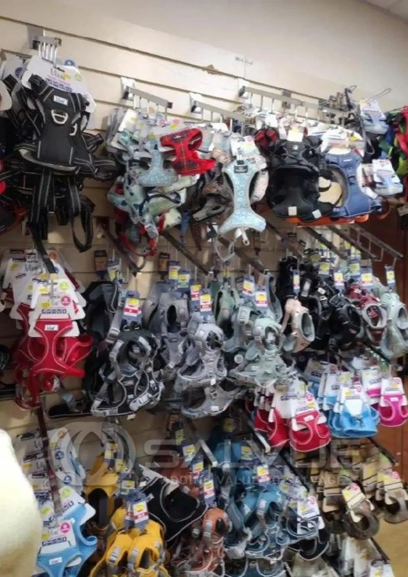 Salvue Ltd. - Approx 5,500 Items of Pet Soft Toys, Beds, leads, Accessories - Smoke Contaminated at Auction - Auction Image 6