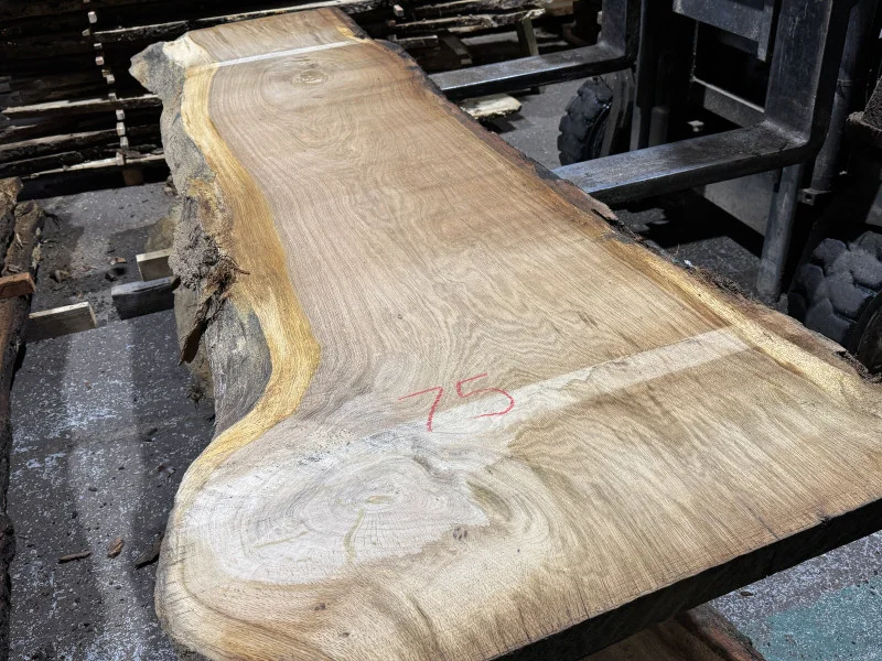 BPI Auctions - Live Edge Timber Slabs Auction to include Ash, Oak, Elm, Scots Pine, Yew & Cedar - Auction Image 5