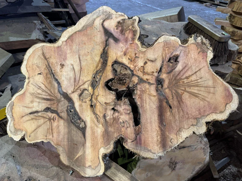 BPI Auctions - Live Edge Timber Slabs Auction to include Ash, Oak, Elm, Scots Pine, Yew & Cedar - Auction Image 7