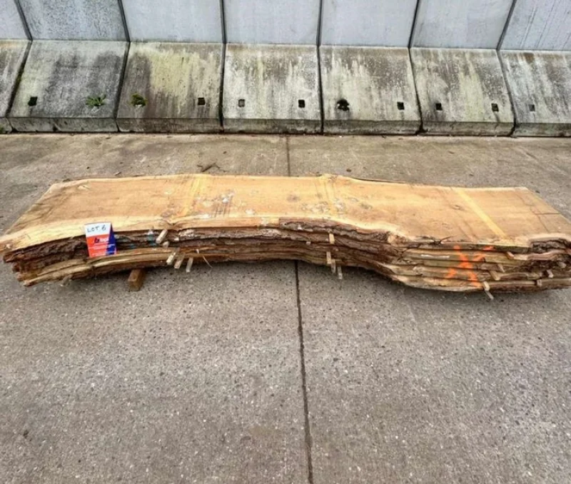 BPI Auctions - Timber Stocks Auction to include: English Oak, Sweet Chestnut, English Ash, Cedar of Lebanon & More - Auction Image 4