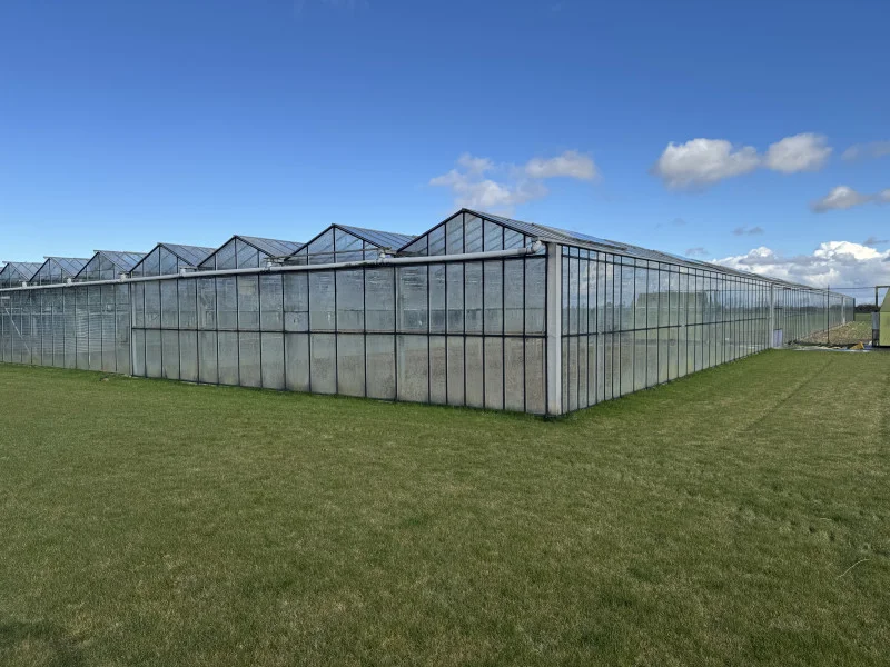 Will Barker & Co - Farm Machinery Dispersal Auction inc  including Horticultural Lots, Glasshouse, Cultivation Equipment, Trailers and Tractors - Auction Image 10