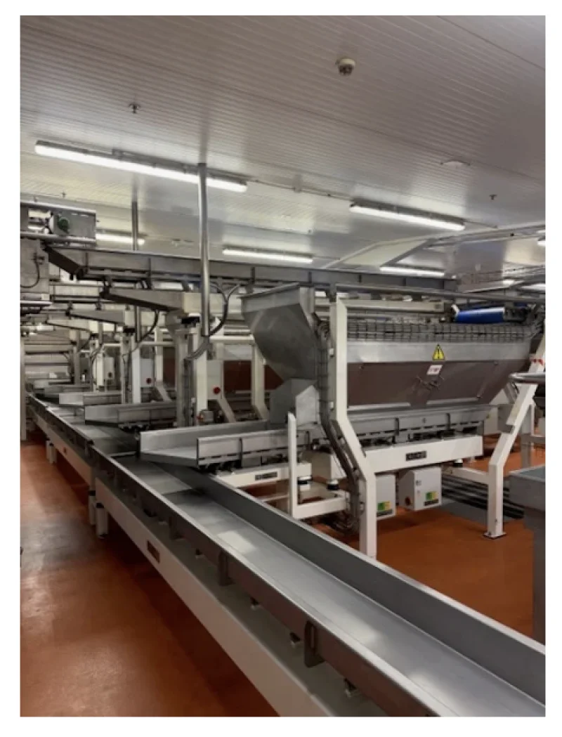 Food Machinery 2000 Limited - DUE TO THE CLOSURE OF A MAJOR CRISP MANUFACTURER - Auction Image 3