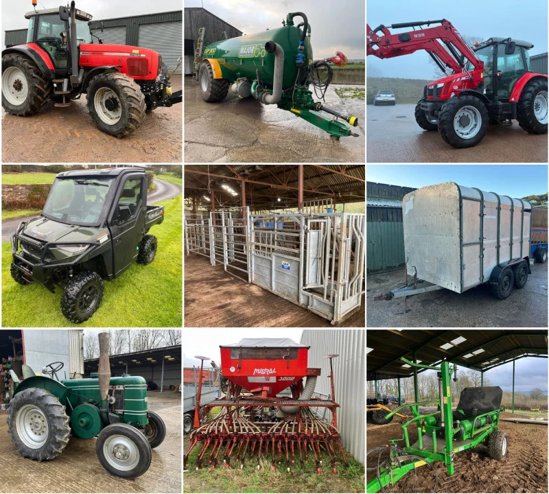 Stags - The South West January Online Timed Auction - Auction Image 1