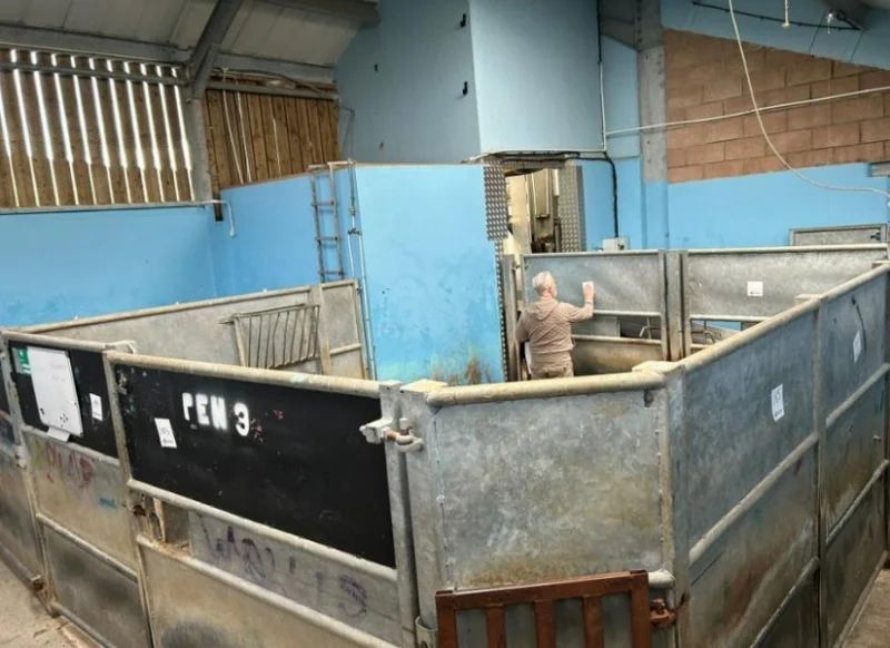 UK Food Machinery Ltd - Complete Contents of Slaughter House Auctions - Auction Image 12