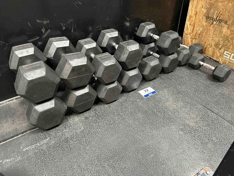 Sweeney Kincaid - Contents of a Gym Auction - Auction Image 3