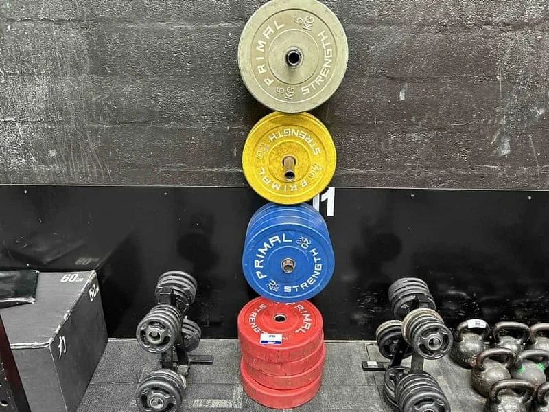 Sweeney Kincaid - Contents of a Gym Auction - Auction Image 5