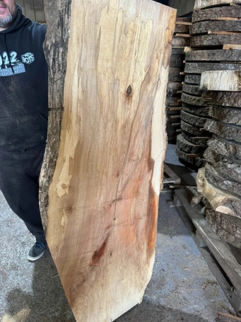 BPI Auctions - Solid Oak, Yew, Western Red Cedar, Californian Redwood Live Edge Slabs, Beams & Coin Slabs at Auction - Auction Image 2
