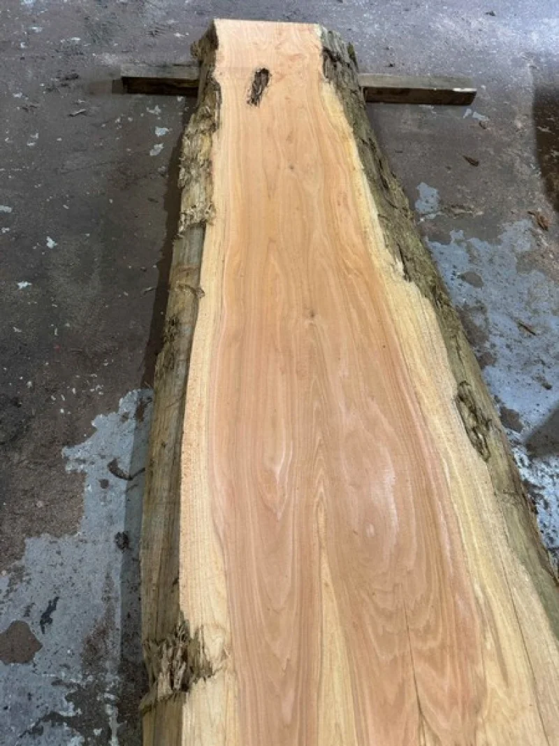BPI Auctions - Solid Oak, Yew, Western Red Cedar, Californian Redwood Live Edge Slabs, Beams & Coin Slabs at Auction - Auction Image 4