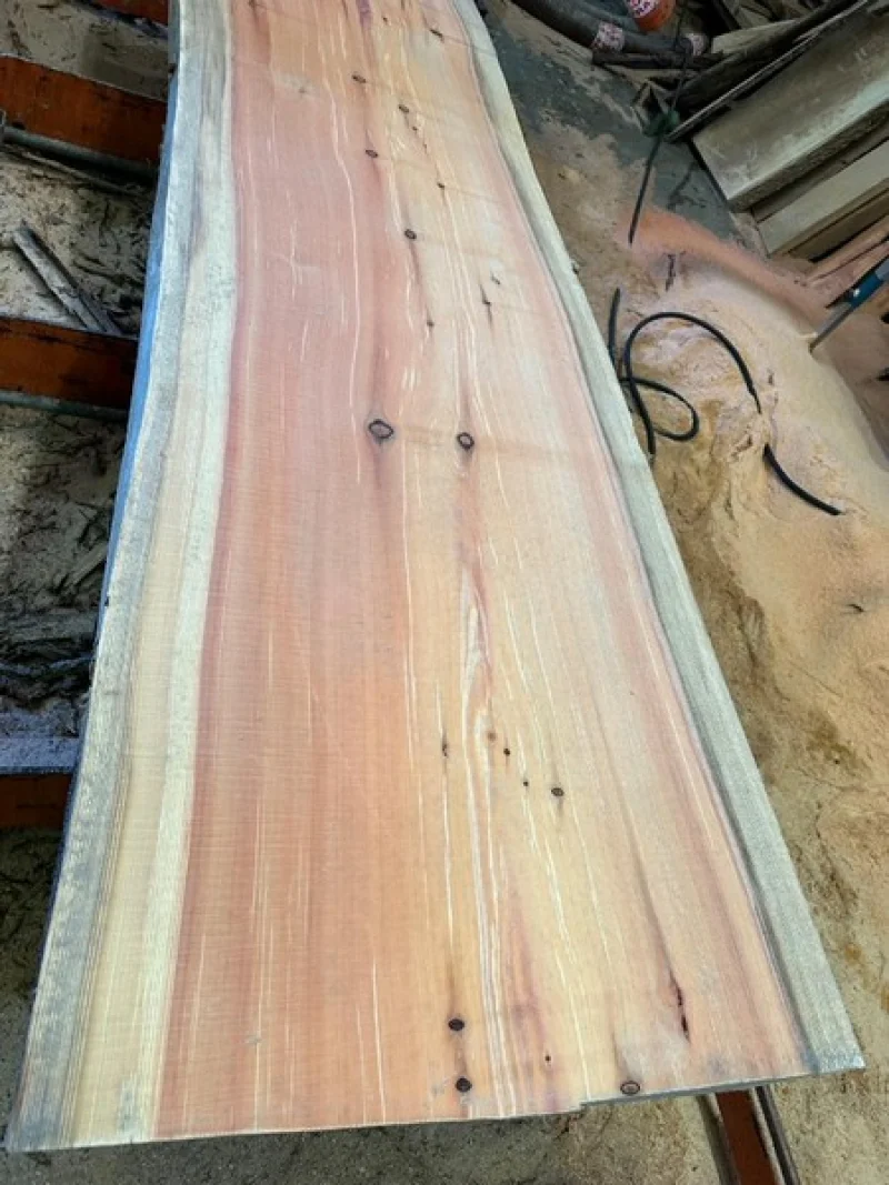 BPI Auctions - Solid Oak, Yew, Western Red Cedar, Californian Redwood Live Edge Slabs, Beams & Coin Slabs at Auction - Auction Image 5