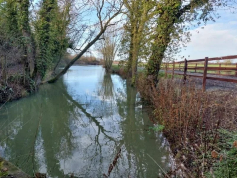 William George - Freehold Fishery, Lake and Land For Sale with Planning Permission for Holiday Lets - Auction Image 3