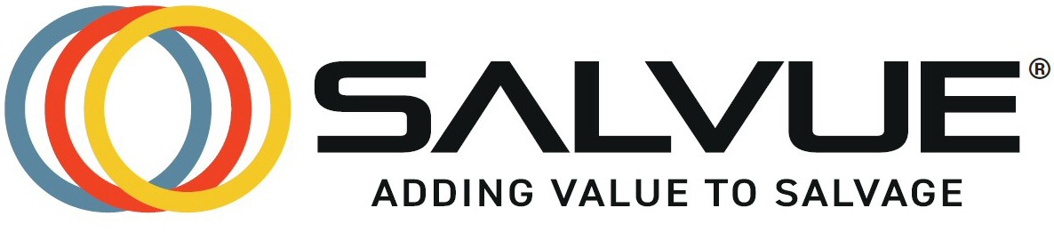 Salvue Ltd. logo